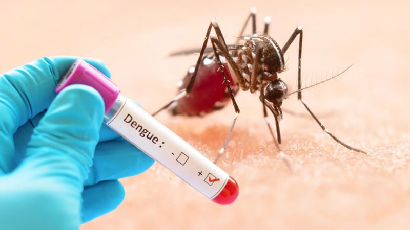 ডেঙ্গুতে একদিনে আক্রান্ত ১৬৪